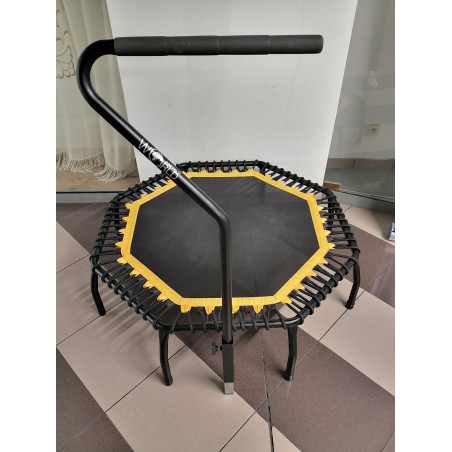 Trampolina World Jumping Spider Studio