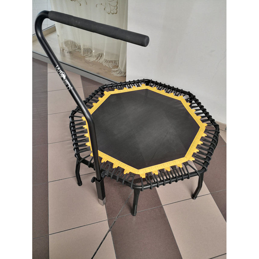 Trampolina World Jumping Spider Studio