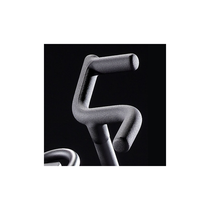 Evocardio ReNegaDe Air Bike AB100