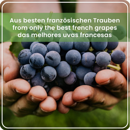 Surpresa NATURAL OPC 270 kapsułek