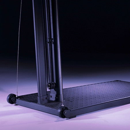 Evocardio ReNegaDe ASKI200 ergometr narciarski stojący