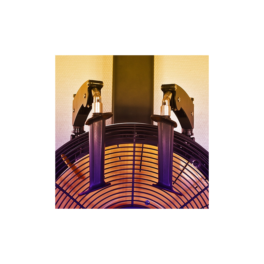 Evocardio ReNegaDe Aski150 Ergometr narciarski wiszący