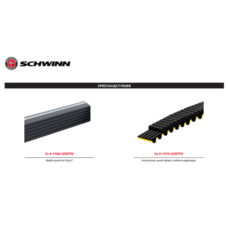 Schwinn X BIKE rower spinningowy