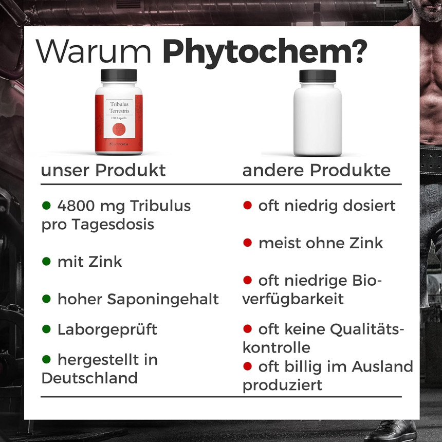 Phytochem Tribulus Terrestris Buzdyganek 120 kap 1200 mg
