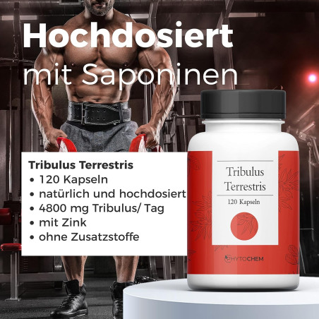 Phytochem Tribulus Terrestris Buzdyganek 120 kap 1200 mg