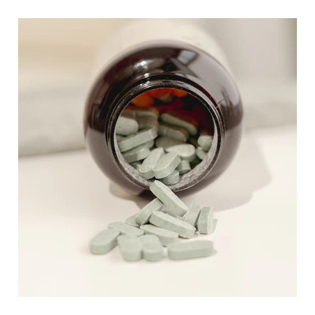 Surpresa NATURAL MSM 365 tabletek